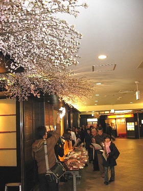 仕事帰りに駅でお花見。オッシャレ～