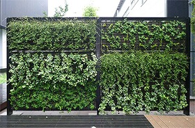 好きな植物を選んだりと自由にデザインできる緑化壁