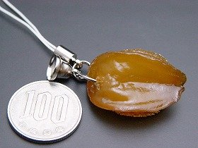 大きさは100円玉ほど