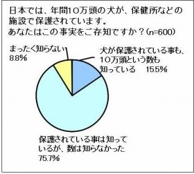 年間10万頭の犬が施設に保護されている