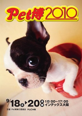 今年もやるよ！　大阪で恒例の「Pet博」