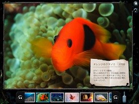 水中写真でいやされる～iPadアプリ
