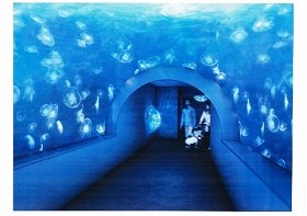見どころ満載「サンシャイン水族館」　8月4日にリニューアルオープン