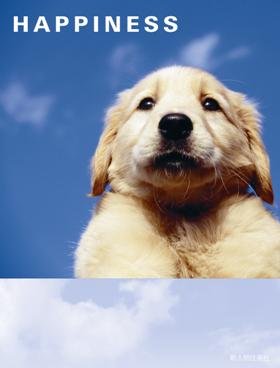 『HAPPINESS』