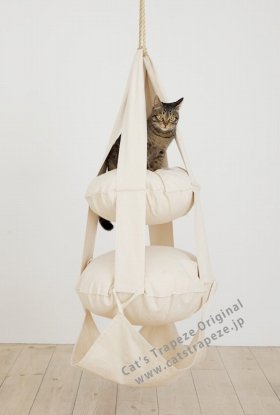 オランダ生まれの「猫専用タワー」