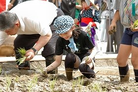 初めての田植え「楽しかった」　上野公園で都内小学生が挑戦