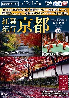 紅葉の名所・二尊院のライトアップを独占貸し切り