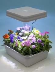 室内で楽しむ植物栽培　LEDプランター「お部屋畑」