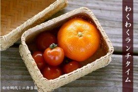 竹職人のワザでフルーツ包む　「白竹網代ミニ弁当箱」