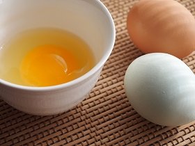 淡い青色の卵が珍しい