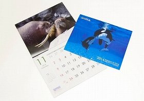 2014年オリジナルカレンダー付き入園券　鴨川シーワールド期間限定特別プラン