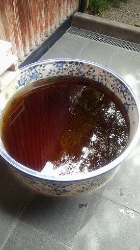 静雲荘の紅茶湯