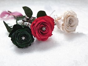 バラの中に雪結晶のダイヤモンド　「一度で二度うれしい」クリスマスギフト