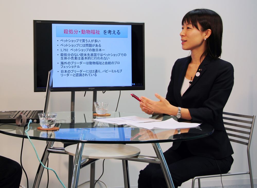 資料を元に、殺処分の問題について語る塩村都議