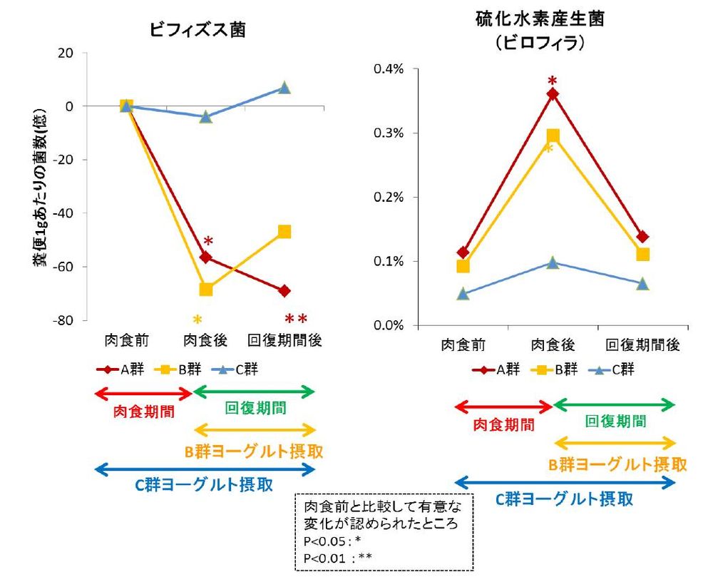「肉食」シーズン到来で不安な腸内環境　ビフィズス菌摂取で悪玉菌を抑える