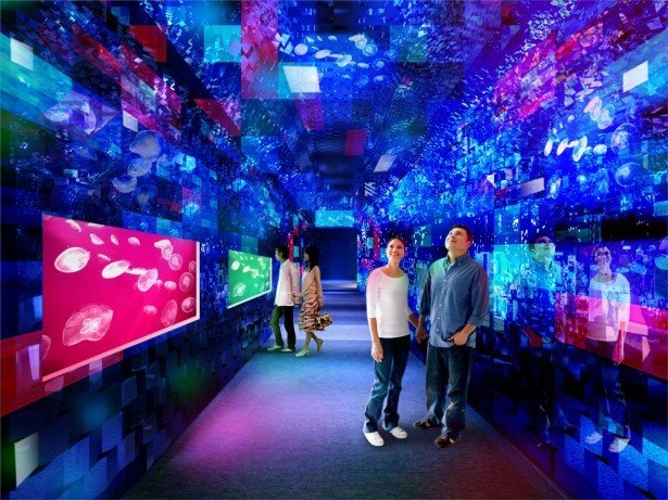 日本初の、「クラゲ万華鏡トンネル」がすみだ水族館に新登場　全長50メートルの不思議な空間