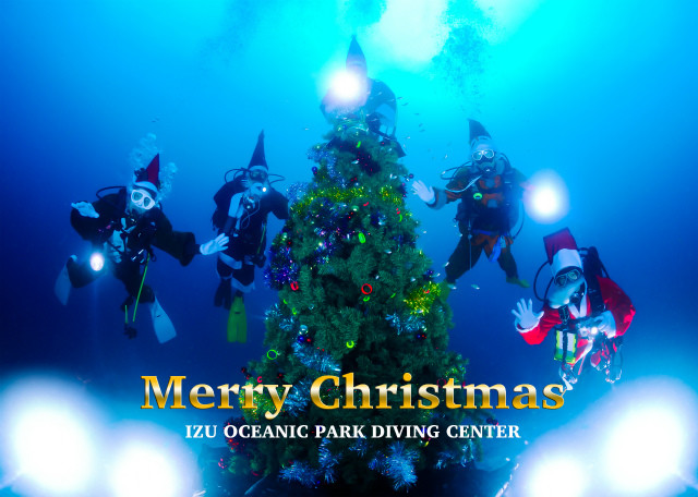 水中のメリークリスマス！　海底ツリーのまわりをサンタがスイスイ