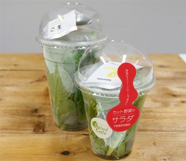 ケンコーマヨネーズが東芝とコラボ、新たなスタイルのサラダ製品