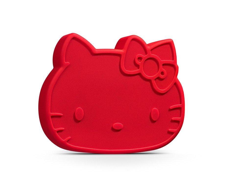 専用イヤホンケース