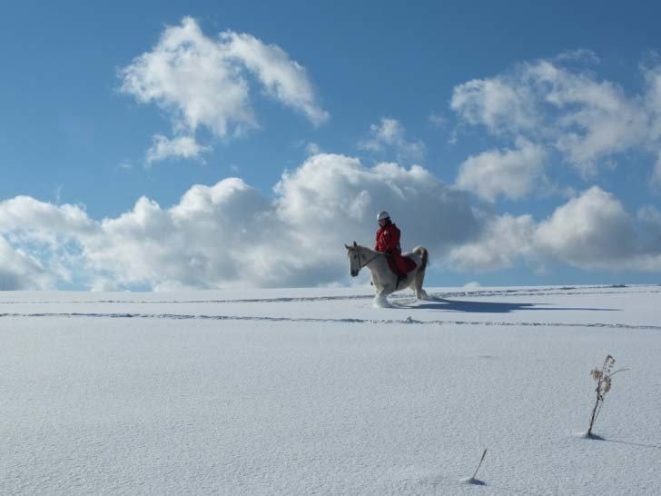 「ただものでない」ウインタースポーツの祭典　極寒の北海道日高町で開催