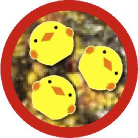 かわいいひよこチップ入り