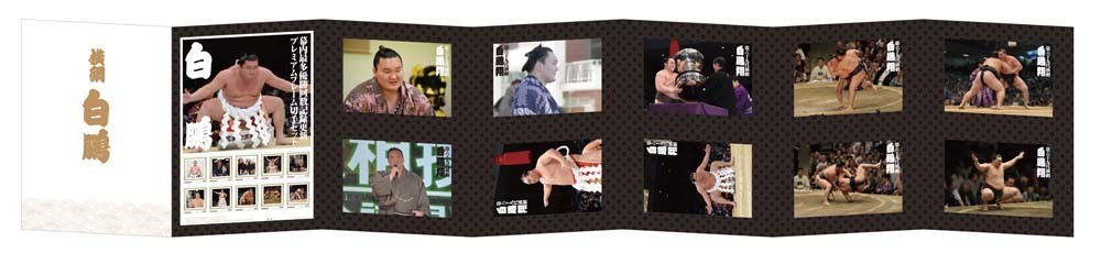 横綱白鵬関の貴重なオフショットもある