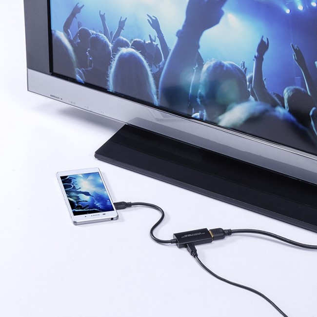 撮影した動画や写真などをテレビの大画面で楽しめる