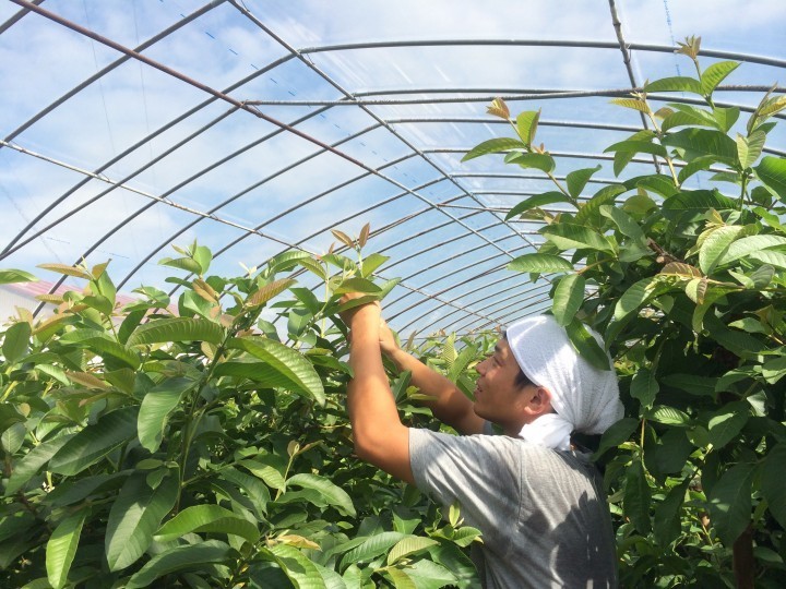 原材料から自家農園で栽培