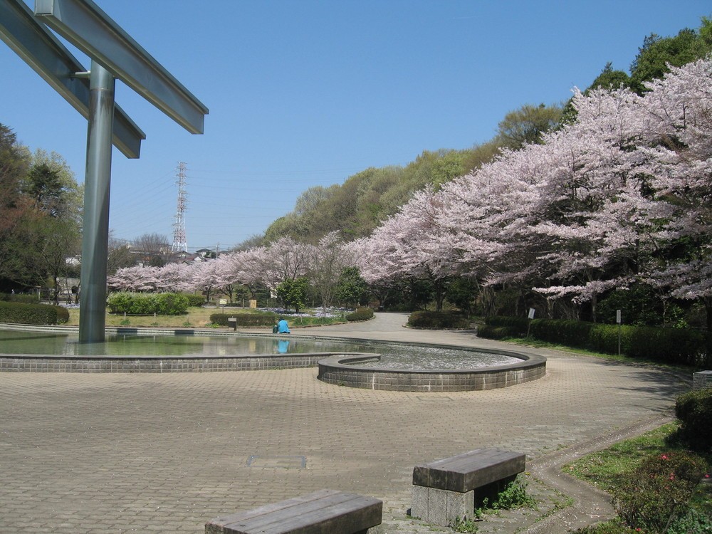芹ケ谷公園
