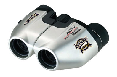 アクティ　バファローズ