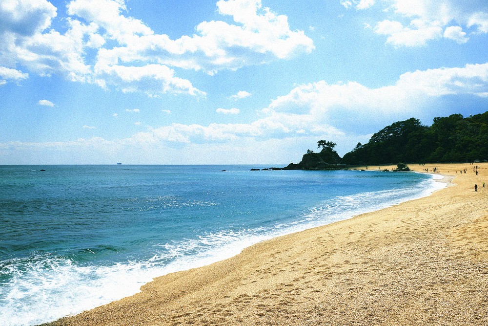 5000円で「1万円分」旅を満喫！　高知県のプレミアム旅行券販売へ