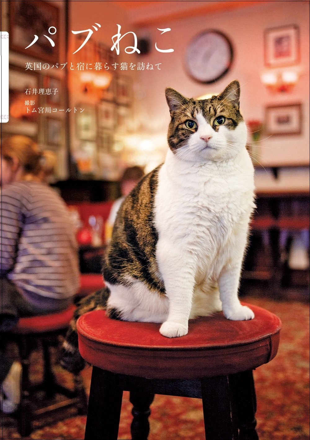 パブねこ 英国のパブと宿に暮らす猫を訪ねて