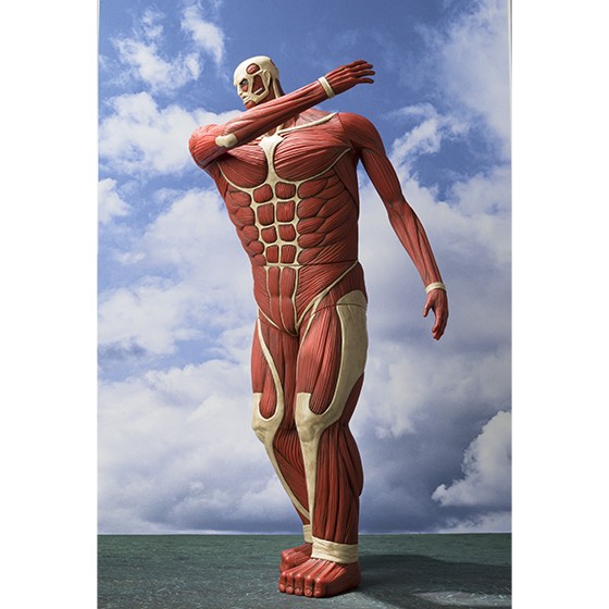 1円、5円、10円、50円、100円、500円の各硬貨100枚貯められる