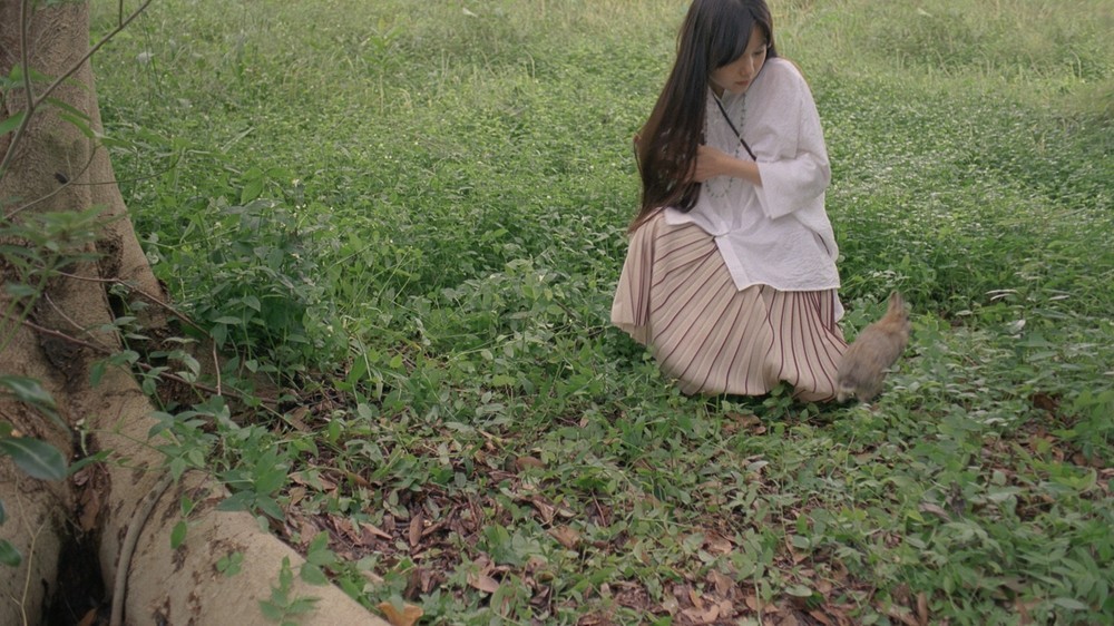 初夏の森林、ウサギをカメラで撮ろうとするが逃げられてしまう