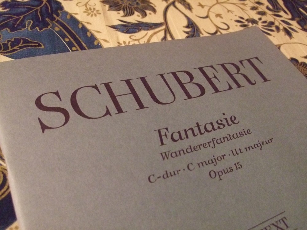 穏やかな「歌曲の王」の激しさ際立つ異色の作品