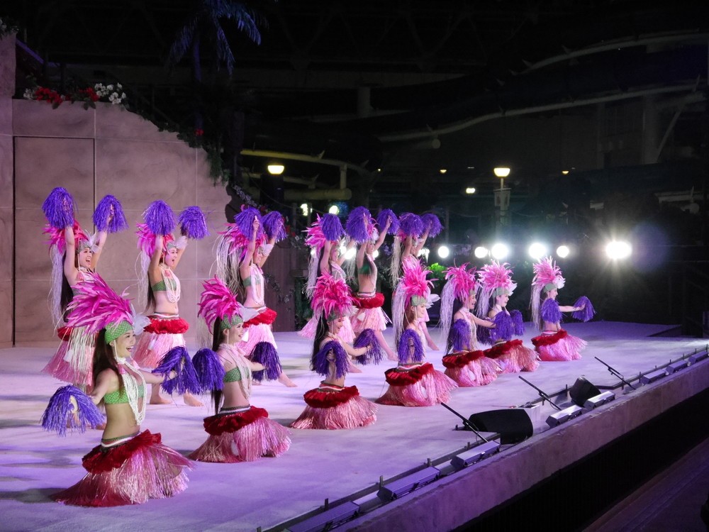 後列右から4人が新人