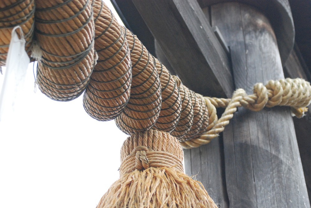 「正方形縛り」って、どんな縛り方？　インスタ新機能にネットざわつく