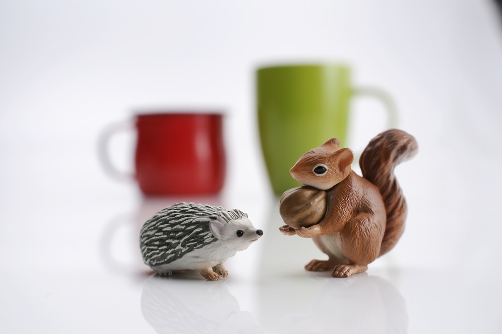 「リス&ハリネズミ」