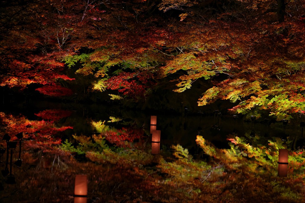 歴史ある庭園の紅葉が夜も楽しめる