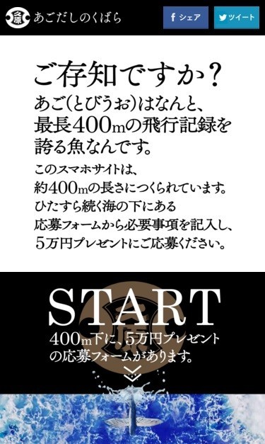 400ｍはトビウオの最長飛距離
