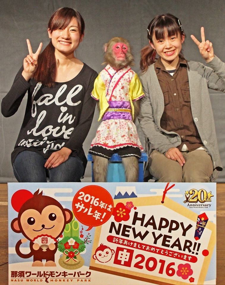 来年の干支サルと一緒に写真撮れます　那須ワールドモンキーパーク