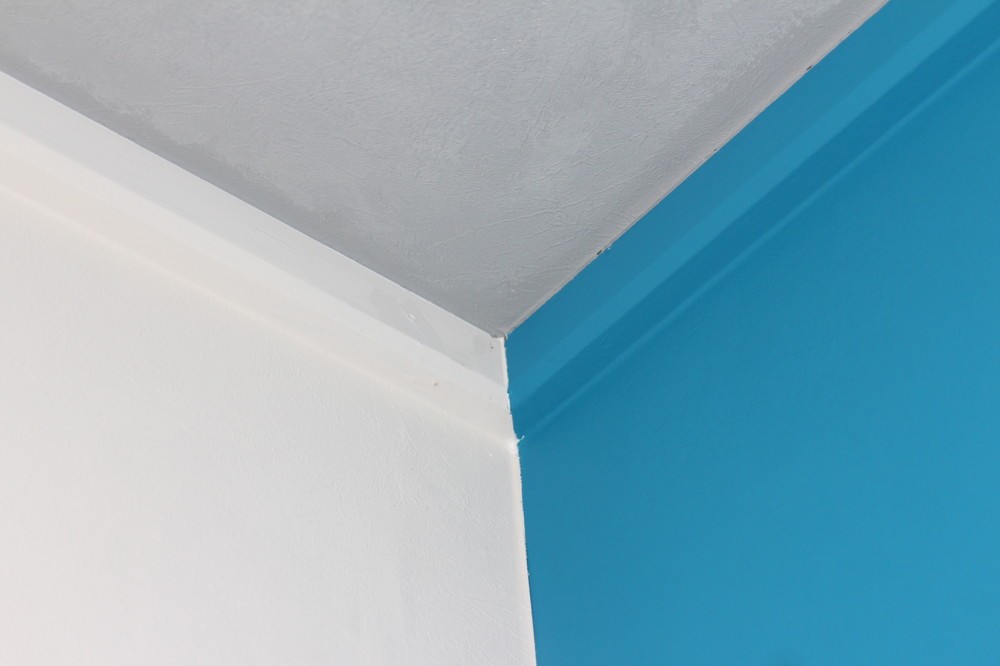 職人による手作業で壁と天井が美しく塗り分けられている