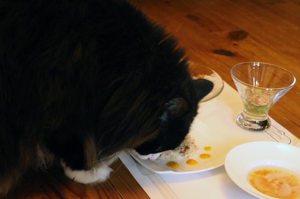 マコロンちゃんも我慢できずに割り込む