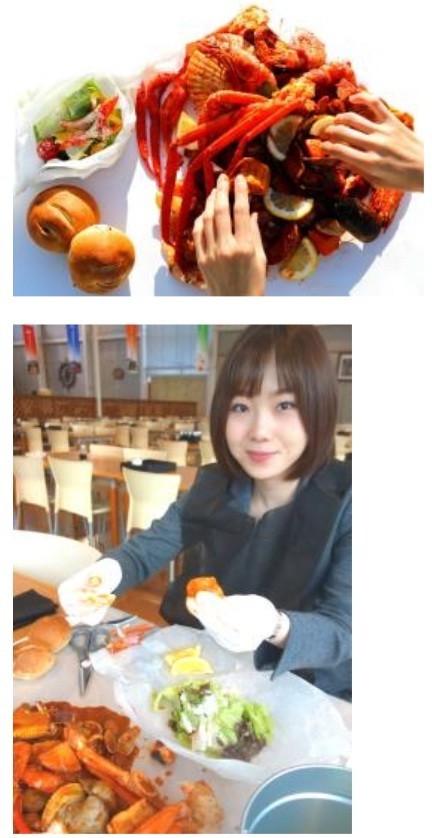 はとバス、2016年春からの「日帰りバスツアー全118コース」