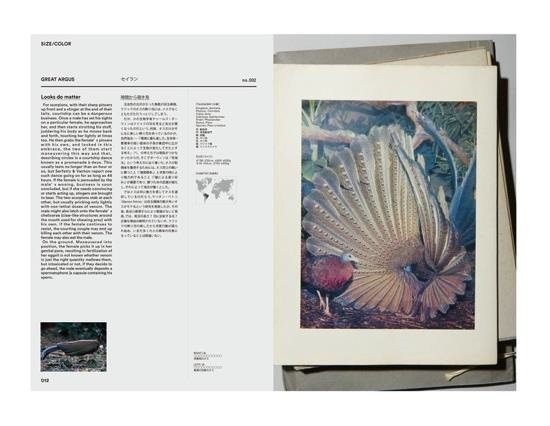 求愛行動にスポットを当てた図鑑は世界に類を見ない