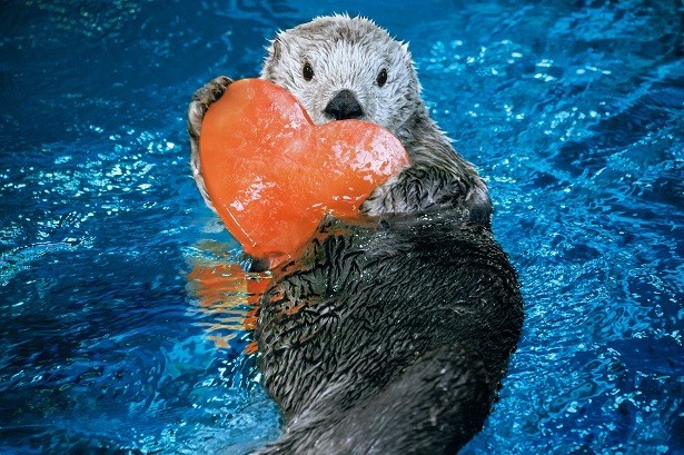 熱い愛を届けます