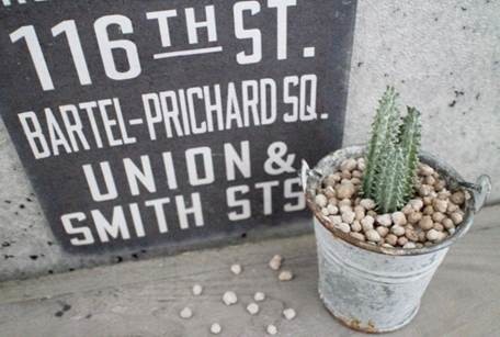 フェイクグリーンのサボテン