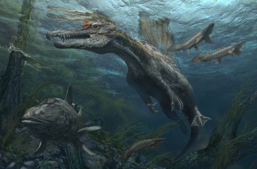 スピノサウルス復元画(C)Davide Bonadonna