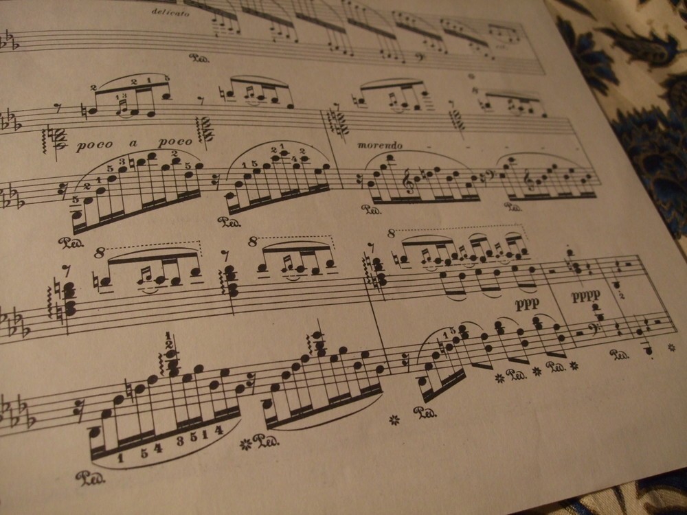 ヴィルトオーゾ的ではあるが、最弱音で消え入るように曲は終わる