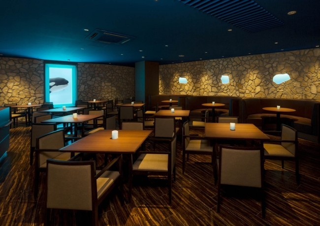 シャチを眺めながらのディナーも用意